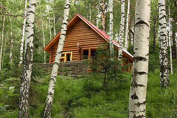 Image showing The wooden house in a forest