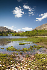 Image showing scotland