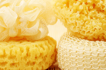 Image showing bath sponges