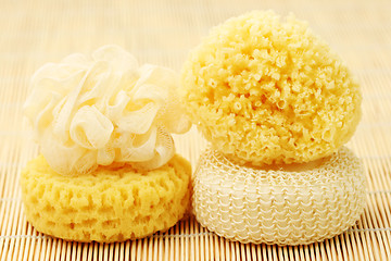 Image showing bath sponges