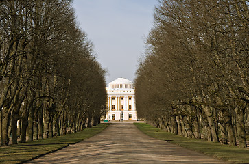 Image showing Park alley