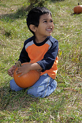 Image showing Pumpkin patch