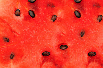 Image showing Water melon