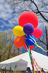 Image showing Balloons