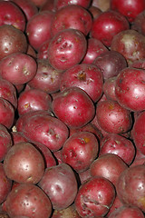 Image showing Potatoes