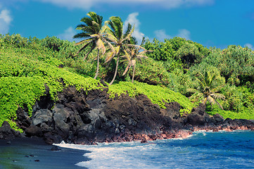 Image showing Tropical Beach