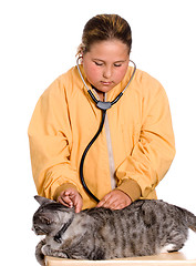 Image showing Pet Health