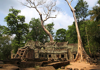 Image showing  angkor