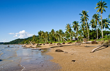 Image showing beach