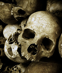 Image showing skulls