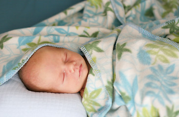 Image showing Baby