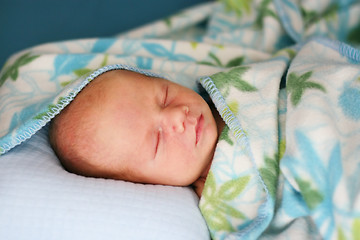 Image showing Baby