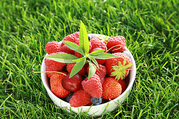 Image showing Fresh fruits