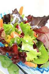 Image showing Mixed vegetable salad