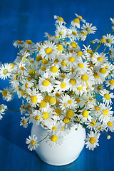 Image showing Chamomile bouquet