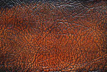 Image showing Brown leather texture