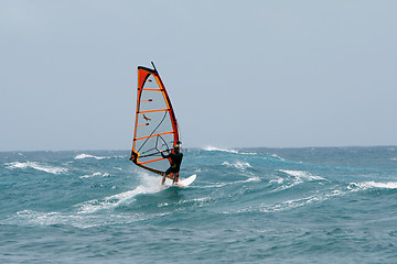 Image showing Windsurfing