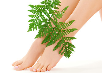 Image showing female feet with green leaf