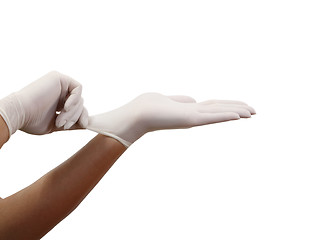 Image showing Surgical gloves