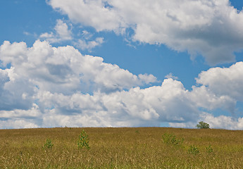 Image showing Field and sky