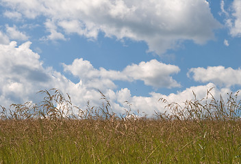 Image showing Field and sky