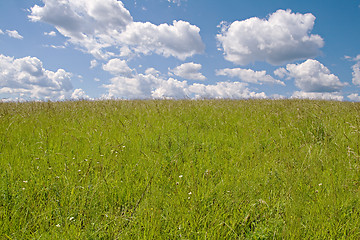 Image showing Field and sky