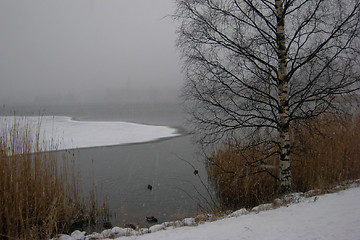 Image showing Snowing by the lake