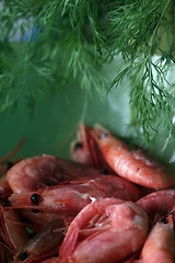 Image showing shrimps