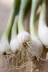 Image showing A bunch of spring onions