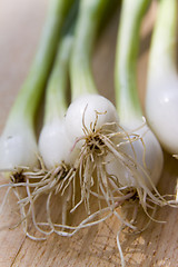 Image showing A bunch of spring onions