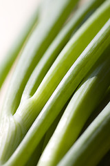 Image showing A bunch of spring onions