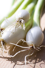 Image showing A bunch of spring onions