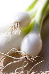 Image showing A bunch of spring onions