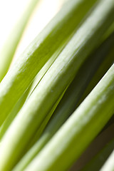 Image showing A bunch of spring onions