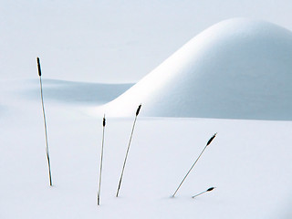 Image showing Winter still life