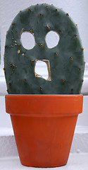 Image showing Halloween cactus