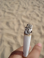 Image showing Cigarrette