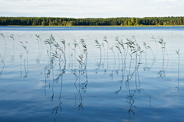 Image showing Blue waters