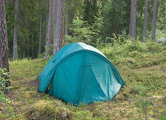 Image showing Tent in a forest