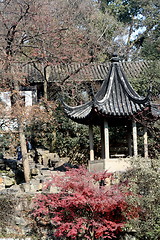 Image showing Chinese garden 8