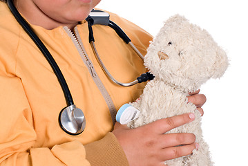 Image showing Stuffed Animal Care