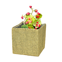 Image showing Flower basket