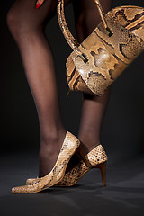 Image showing snakeskin shoes and handbag