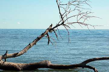 Image showing By the lake