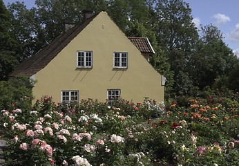 Image showing Old house with rose garden