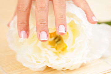 Image showing beautiful female hands