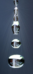 Image showing Water Drops