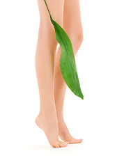 Image showing female legs with green leaf