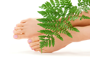 Image showing female feet with green leaf