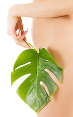 Image showing female torso with green leaf over white